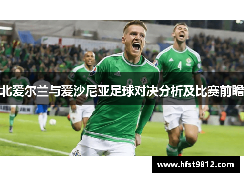 北爱尔兰与爱沙尼亚足球对决分析及比赛前瞻